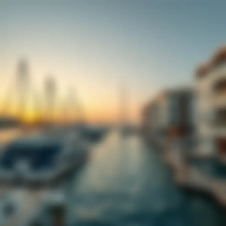 Magnificent Exploring Almaya Marina: A Comprehensive Guide to Dubai's Coastal Jewel