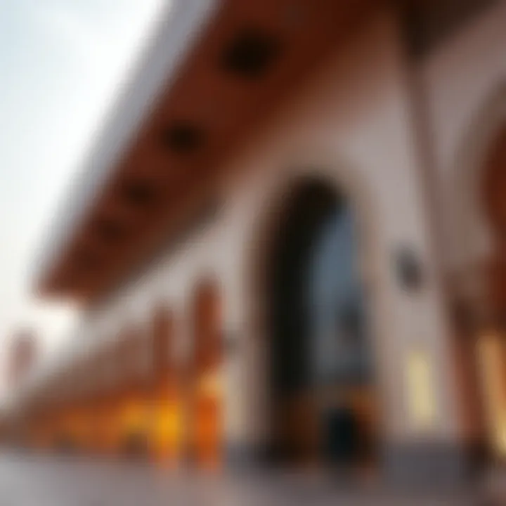Magnificent Exploring Free Places to Visit in Abu Dhabi