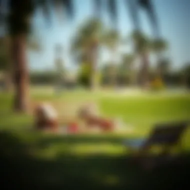 A serene picnic setup in one of the beautiful parks on Al Hudayriat Island