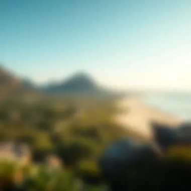 Natural landscape of Al Maria Island emphasizing environmental aspects