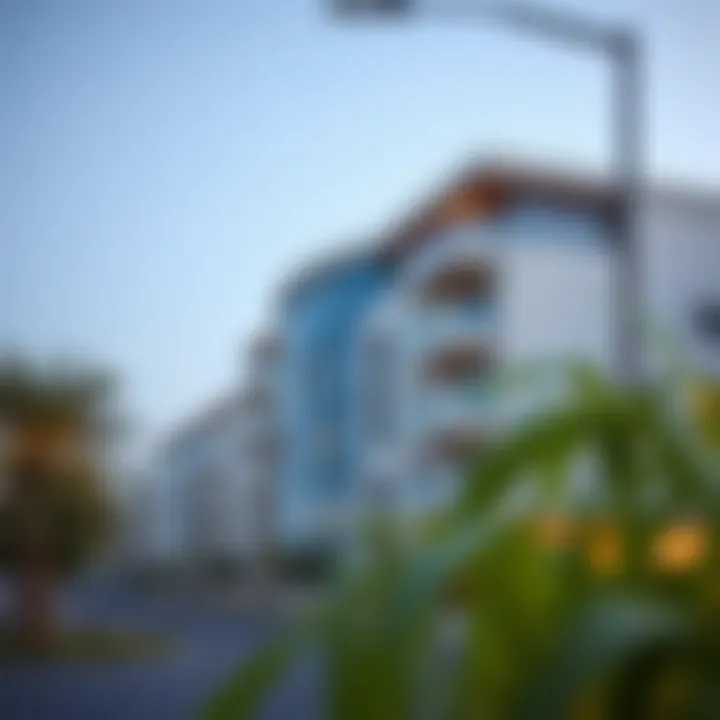 Modern developments along Barjeel Street in Najda