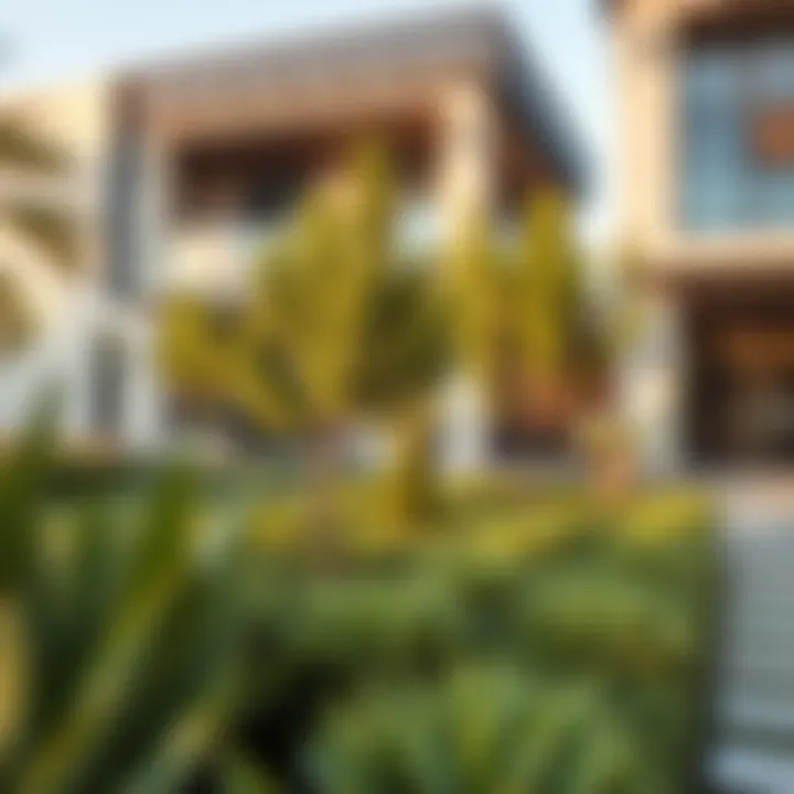 An overview of a commercial space enhanced by professional landscaping services