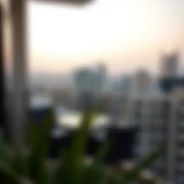 Charming balcony view from a Bur Dubai studio apartment