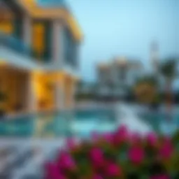 Comprehensive Requirements for Obtaining a UAE Residence Visa Introduction