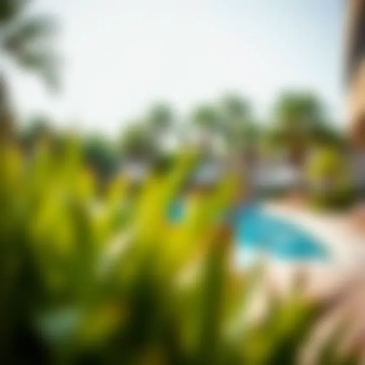 Inviting outdoor pool area surrounded by lush greenery