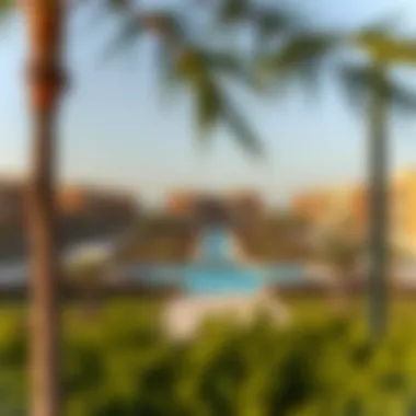 Amenities and Lifestyle in Emaar South Community amenities including parks and leisure facilities in Emaar South