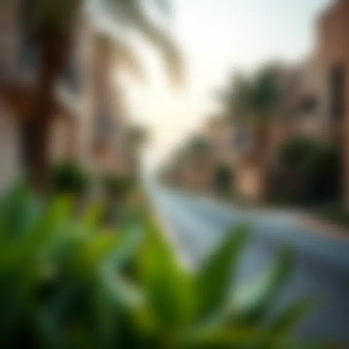 Thriving Community in Muweilah Commercial Vibrant neighborhood in Muweilah