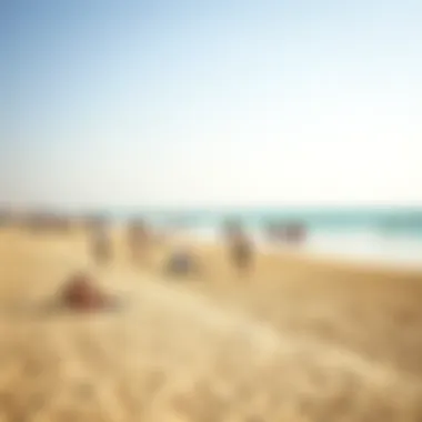 Public Beach Life in Dubai A serene public beach with people enjoying the sun and sea