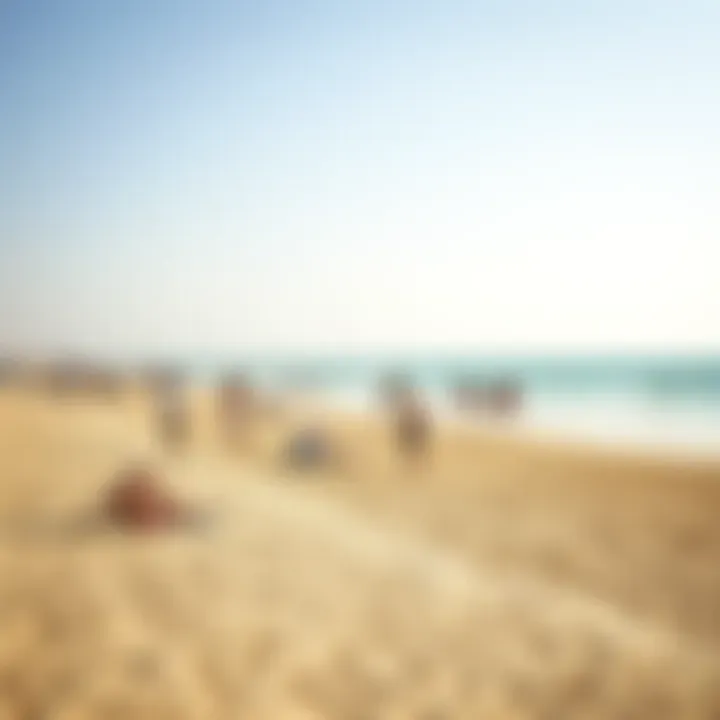 Public Beach Life in Dubai A serene public beach with people enjoying the sun and sea