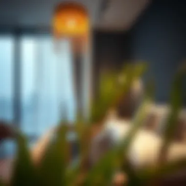 Modern Decor in Affordable Studios Cozy studio apartment with modern decor