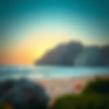 The environmental significance of Al Bahia Beach