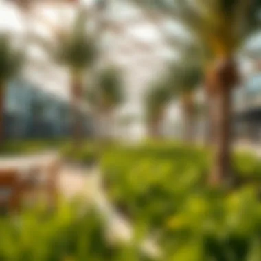 Sustainability in Al Batin Park Environmental aspects of Al Batin Park emphasizing sustainability