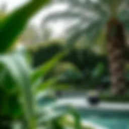 Lush greenery of Al Batin Park showcasing a diverse range of plants