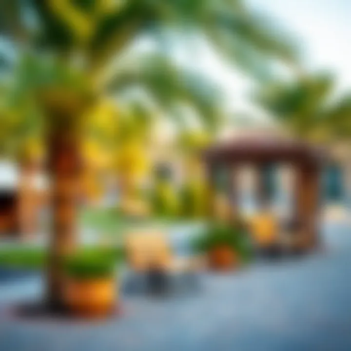 Recreational Amenities in Al Nahda 2 Amenities in Al Nahda 2 including parks and recreational areas