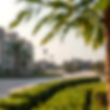 Lifestyle Amenities in Al Qurm Vibrant lifestyle amenities available in Al Qurm including parks and recreational areas