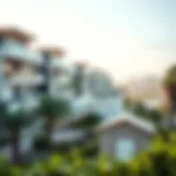 A panoramic view of Al Qurm showcasing modern architecture and lush greenery