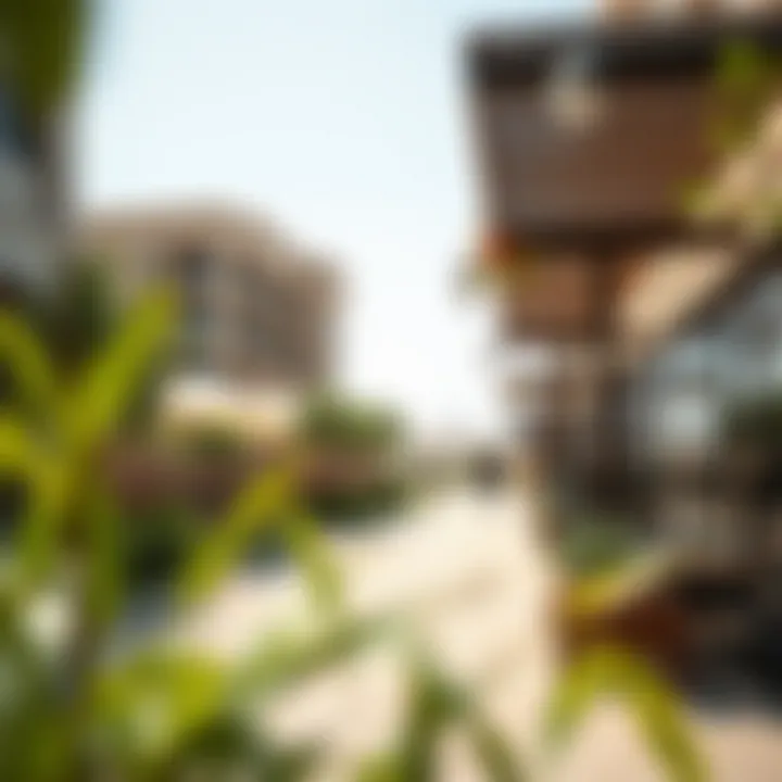 Family-friendly amenities in Al Rashidiya illustrating lifestyle options