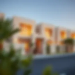 Exterior view of modern homes in Al Zahia Village