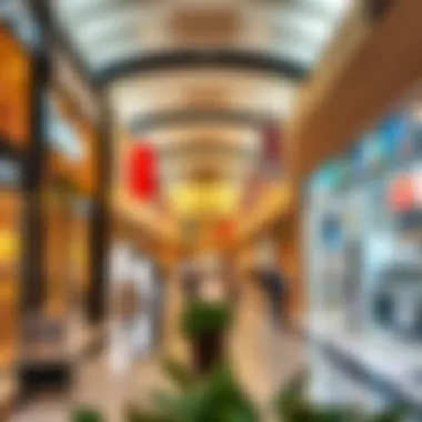 Diverse Retail Offerings Inside the Mall Vibrant retail spaces inside Arabian Ranches Retail Mall filled with diverse shops