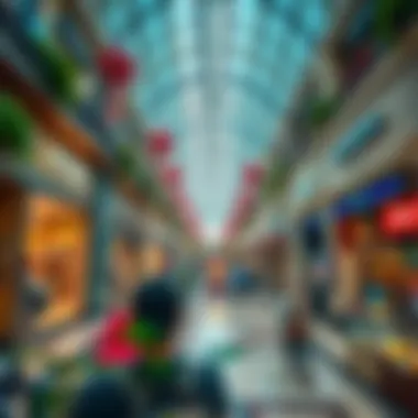 Diverse Shopping Experience at دو الجيمي مول Interior shot of the vibrant shopping area with diverse stores