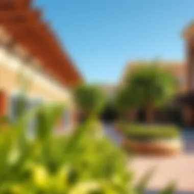 Vibrant community spaces in Dubai District 3 with lush greenery