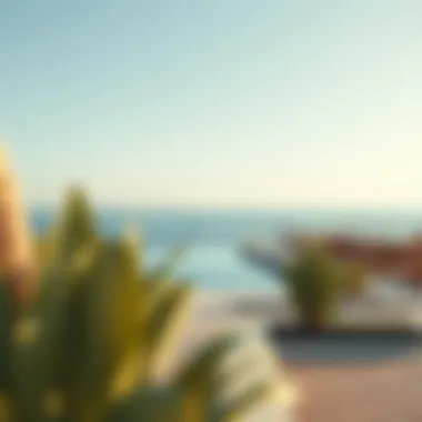 Serene Coastal Retreats in Dubai Beautiful beaches along the coast of Dubai