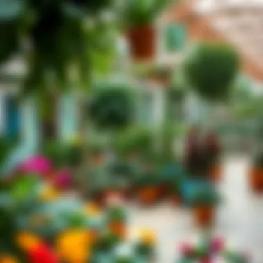 Notable Exploring Dubai's Garden Centers: A Comprehensive Guide