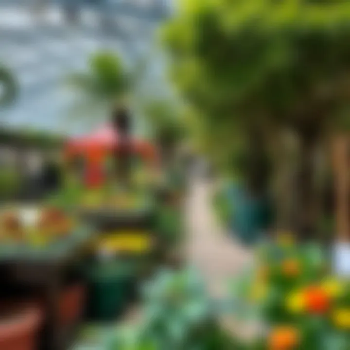 Exploring Dubai's Garden Centers: A Comprehensive Guide Summary