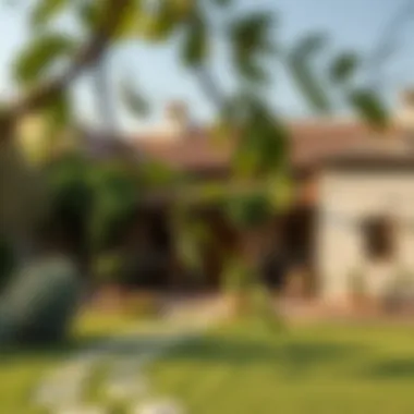 Charming Traditional UAE Farmhouse Traditional UAE farmhouse with lush green surroundings