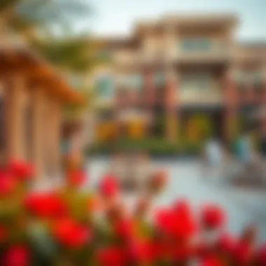 Community Amenities at Maitha Plaza Vibrant community spaces within Maitha Plaza