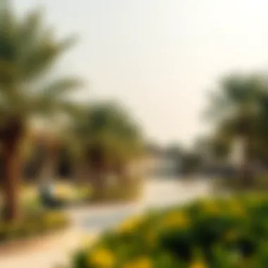 Notable Exploring Mashreq Park: A Versatile Oasis in Dubai