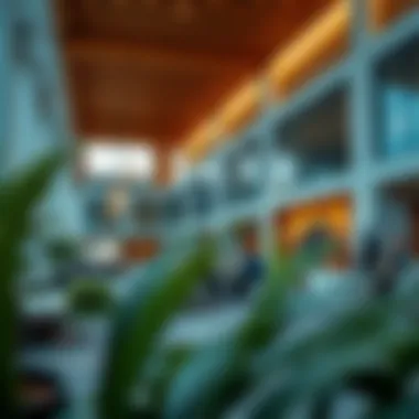 Community Space Near Meera Building A serene community space near Meera Building designed for social interactions