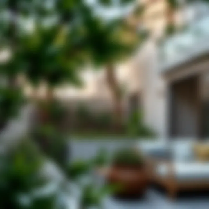 Peaceful outdoor space with greenery
