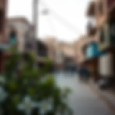 Local amenities and vibrant community life in قرية ساس النخل