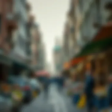 Socio-Economic Dynamics of Shakhbout City Local market scene depicting the socio-economic dynamics of Shakhbout City