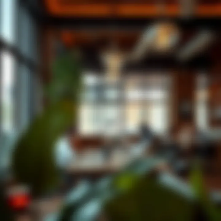 A cozy café with students engaged in studying over coffee