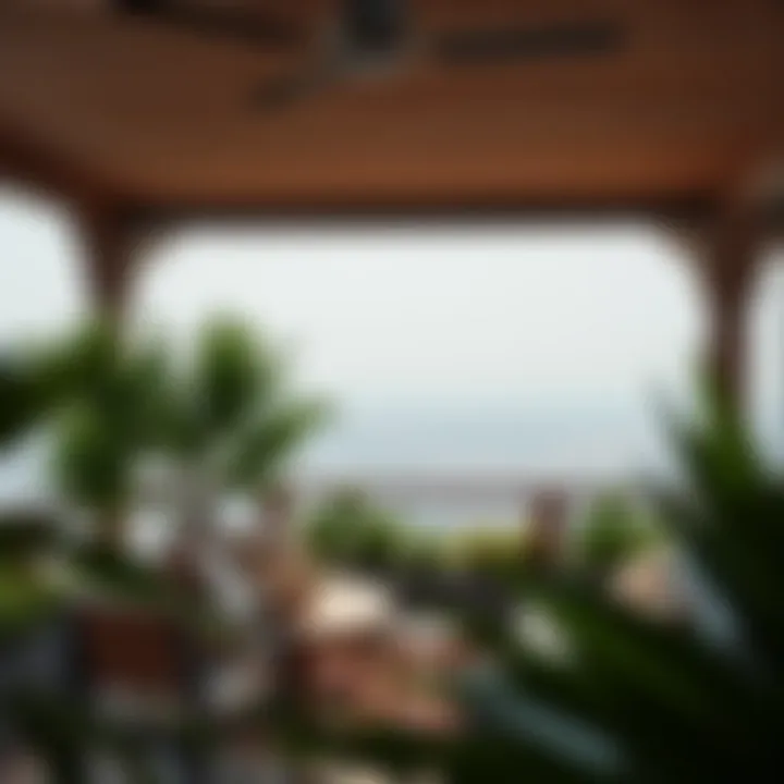 An outdoor study area with lush greenery and inspiring views