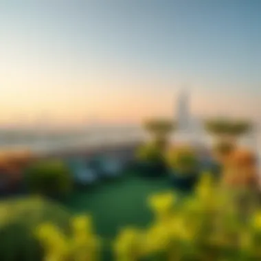 Lush Terrace Garden with Dubai Skyline View Lush terrace garden overlooking Dubai skyline