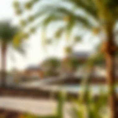 Community park in Thumbay Jurf, illustrating outdoor amenities