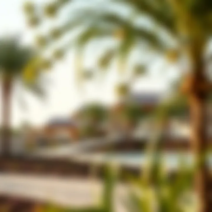 Community park in Thumbay Jurf, illustrating outdoor amenities