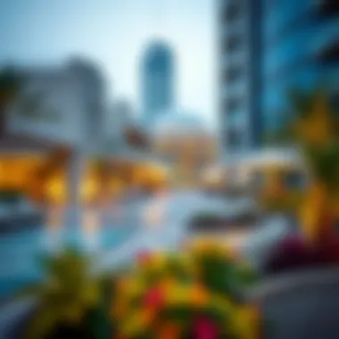 Vibrant Amenities Near Habtoor Tower Amenities and lifestyle offerings surrounding Habtoor Tower in Business Bay