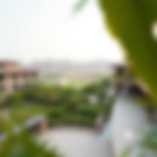 Panoramic View of Hadiqat Al-Hili A panoramic view of Hadiqat Al-Hili showcasing its lush greenery and serene environment