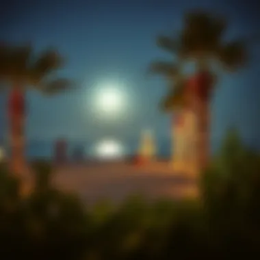 Christmas by the Beach in the UAE A serene beach scene during Christmas time in the UAE