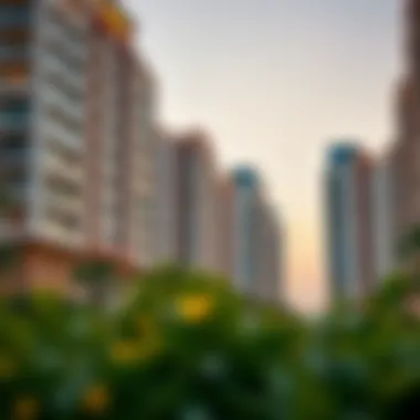 Modern residential buildings in JVC