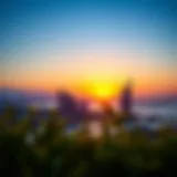 Lulu Al-Fursan Skyline at Sunset Stunning view of Lulu Al-Fursan skyline at sunset