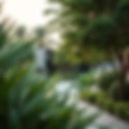 Lush greenery within Nad Al Shiba Gardens showcasing nature's tranquility