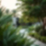 Tranquil Green Spaces in Nad Al Shiba Gardens Lush greenery within Nad Al Shiba Gardens showcasing nature's tranquility