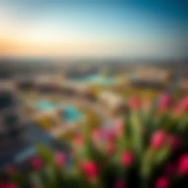 Panoramic Overview of Nad Al Shiba Gardens Panoramic view of the Nad Al Shiba Gardens development