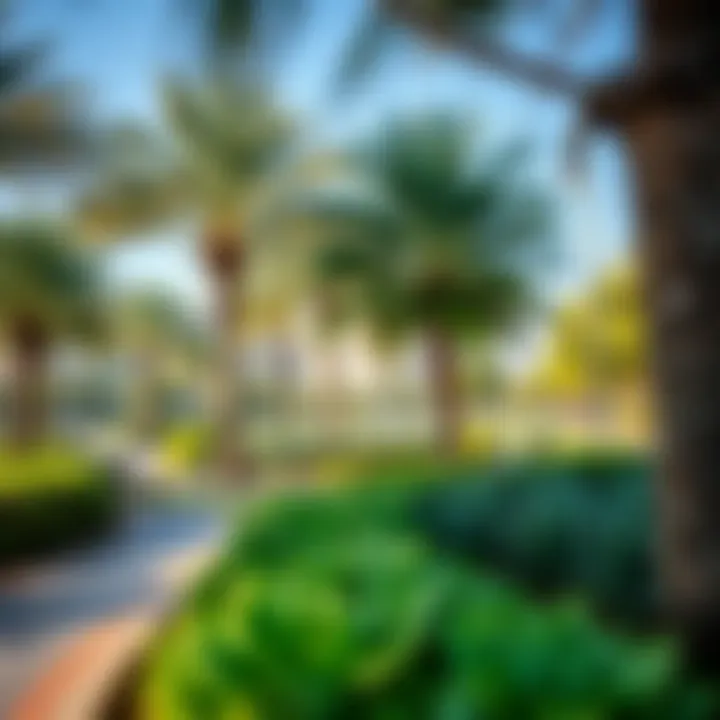 Tranquil Community Park in Deira A tranquil community park in Deira, illustrating green spaces for residents