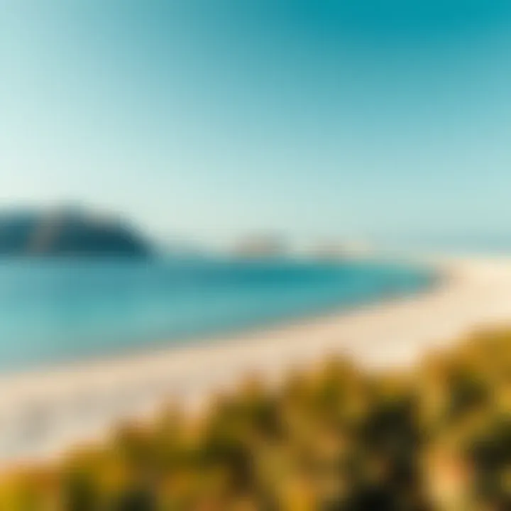 Serene Beach Landscape on Nurai Island Serene beach landscape of Nurai Island with crystal-clear waters